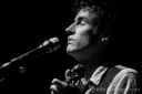 Photo of Andrew Bird